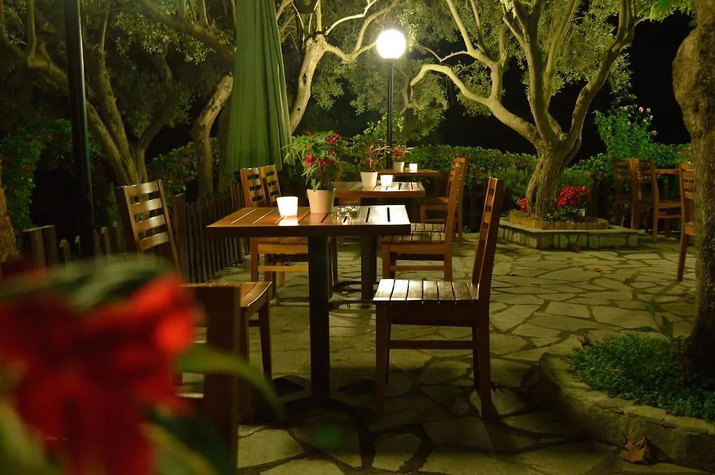 Pension Nikos Psakoudia Apartment