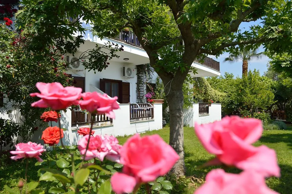 Pension Nikos Psakoudia Apartment